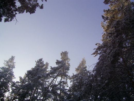 38890 (a): :1024x768
